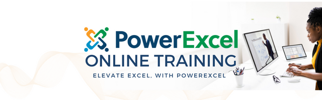 In this PowerExcel Introductory Training, you can get hands-on experience with a virtual planning model.  